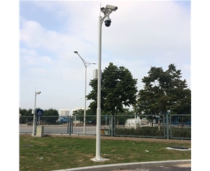 嘉峪关道路监控杆-LB-05