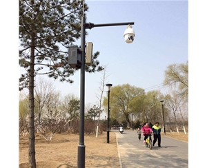 嘉峪关路灯监控杆-LB-03